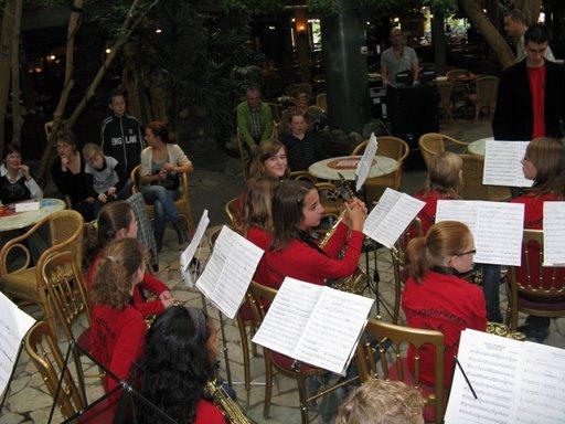 Fanfarejeugd in Het Meerdal